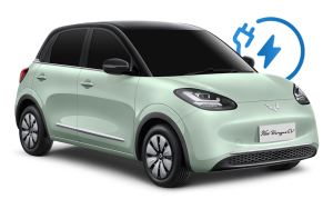 Wuling New Binguo EV